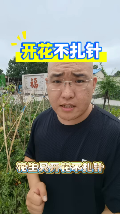 花生只开花不打针