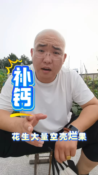 花生大量空壳，补钙是关键