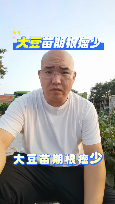 大豆苗期根瘤少是不是磷没给够