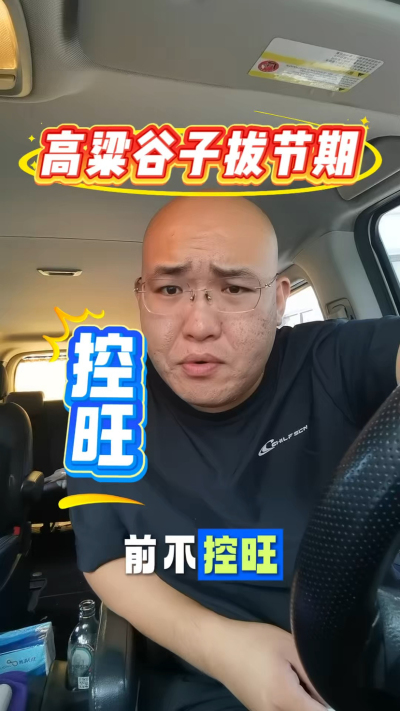 高粱谷子拔节期控旺