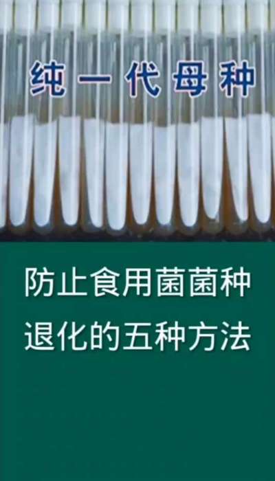 防止食用菌菌种退化的五种方法
