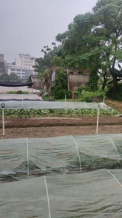 农民的艰辛！又怕风又惊雨。