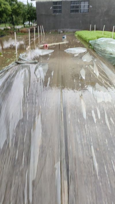 这雨下得有点大。