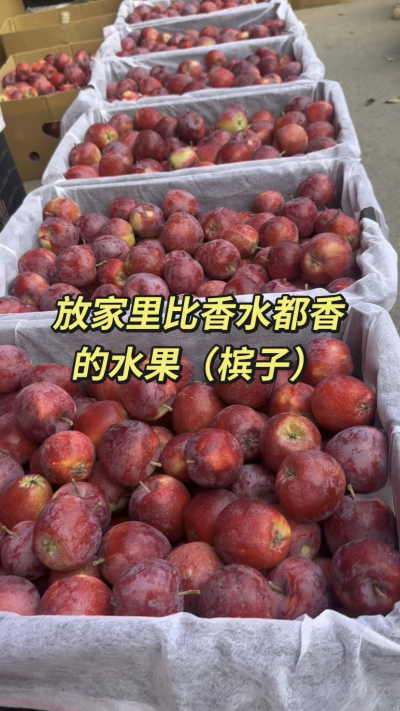 槟果子，比香水都香的水果