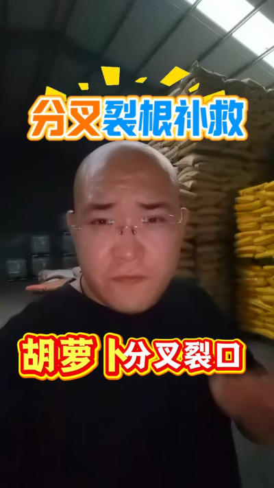 胡萝卜分叉裂口